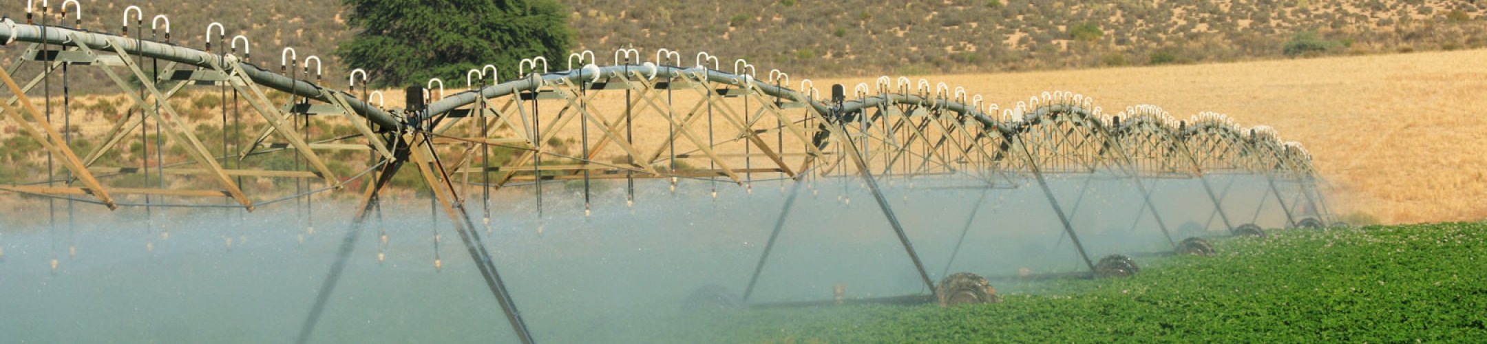 FACCE ERA-Net Plus on Climate Smart Agriculture